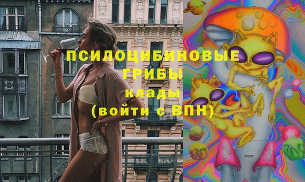 СК Алексин