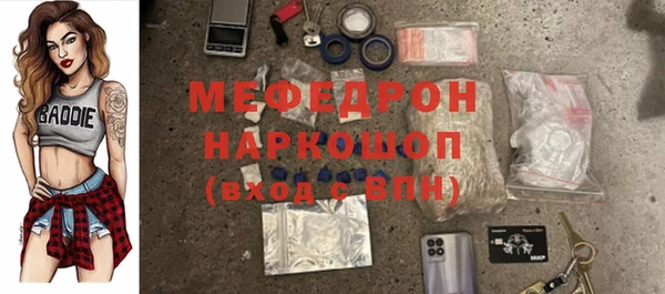 СК Алексин