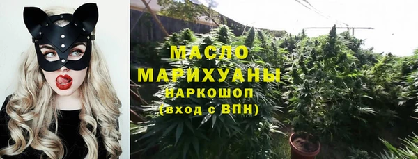 СК Алексин