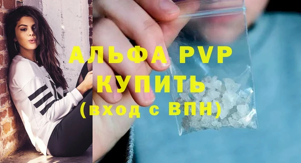 СК Алексин