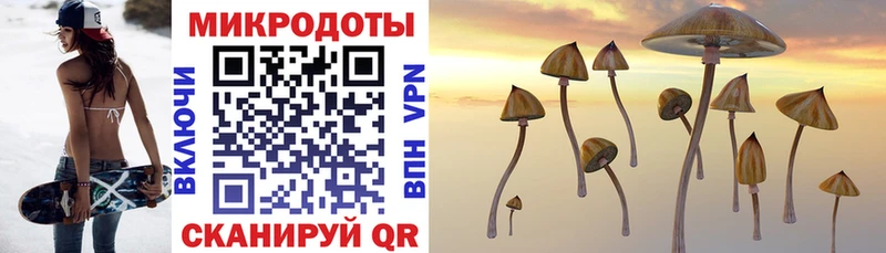 Галлюциногенные грибы прущие грибы Киров